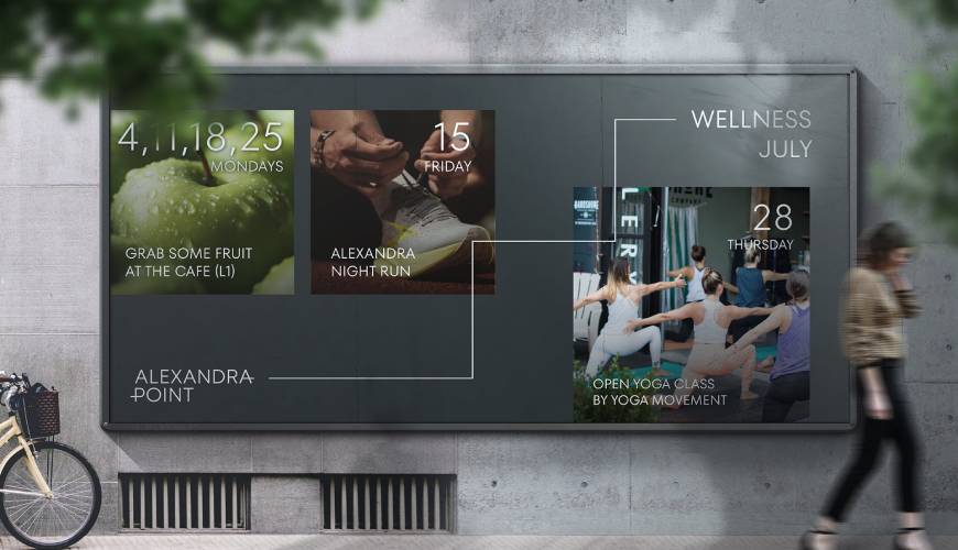 淮阴区画册设计公司如何进行品牌审核