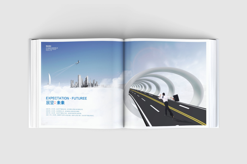 淮阴区画册设计